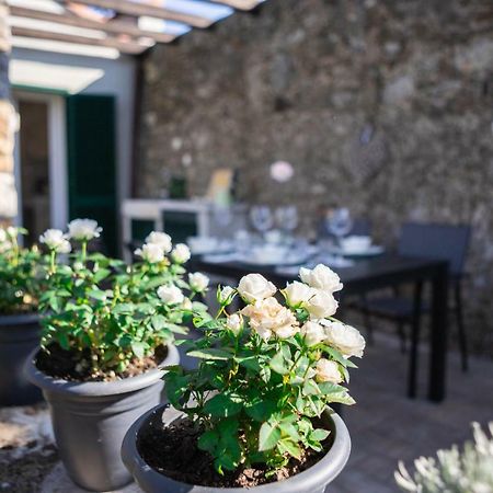 Апартаменты Gardenhouse Сарцана Экстерьер фото