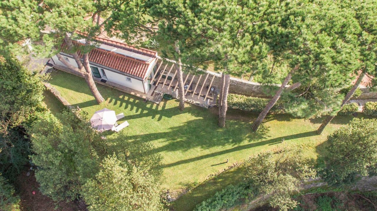 Апартаменты Gardenhouse Сарцана Экстерьер фото